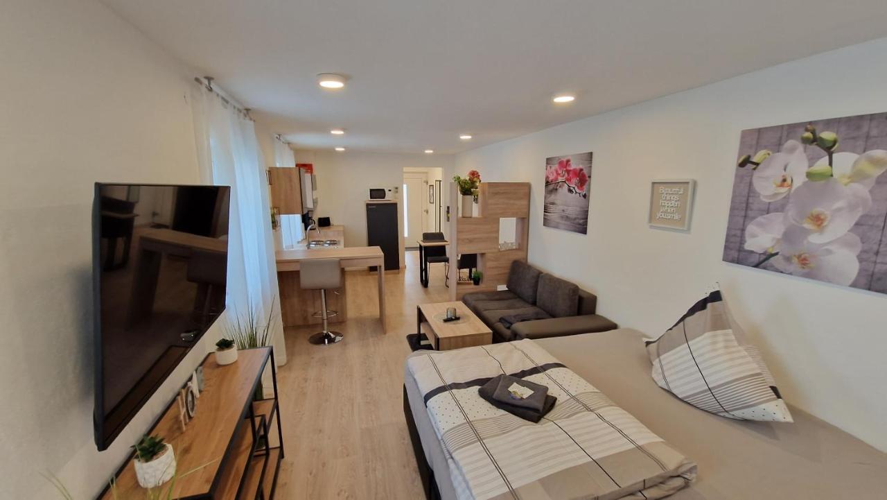 Appartment-Ferienwohnung Mit Kueche, Bad, Kostenlos Wlan, Modern Eingerichtet Roding Extérieur photo